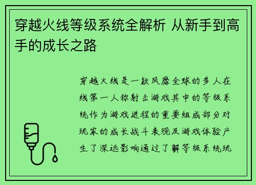 穿越火线等级系统全解析 从新手到高手的成长之路